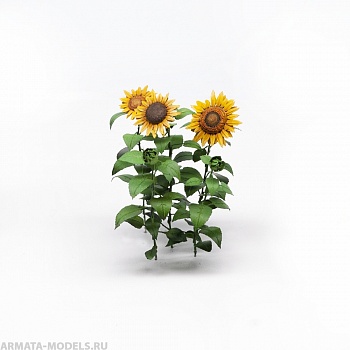 S162MWP Подсолнухи, размер M
