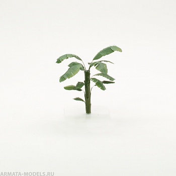 S071MWP Ствол банана, размер XS, 3 шт.